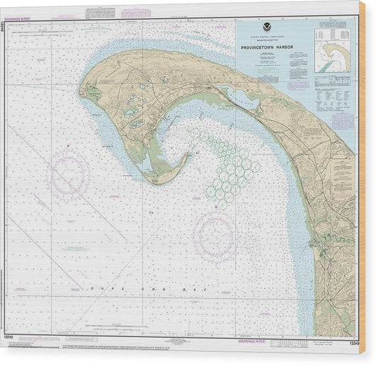 Nautical Chart-13249 Provincetown Harbor Wood Print