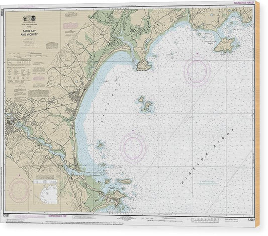 Nautical Chart-13287 Saco Bay-Vicinity Wood Print