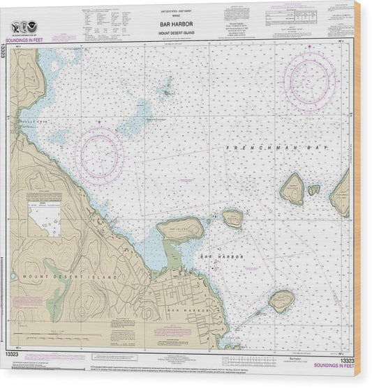Nautical Chart-13323 Bar Harbor Mount Desert Island Wood Print