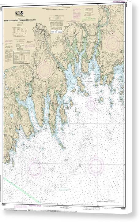 Nautical Chart-13324 Tibbett Narrows-schoodic Island - Canvas Print