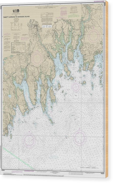 Nautical Chart-13324 Tibbett Narrows-Schoodic Island Wood Print