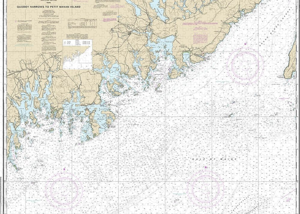 Nautical Chart-13325 Quoddy Narrows-petit Manan Lsland - Puzzle