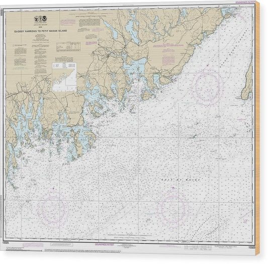Nautical Chart-13325 Quoddy Narrows-Petit Manan Lsland Wood Print