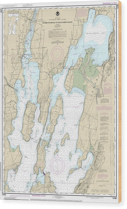 Nautical Chart-14781 Riviere Richelieu-South Hero Island Wood Print