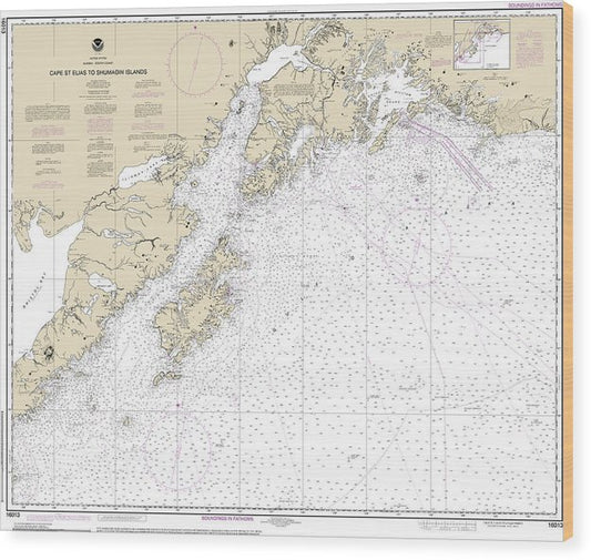 Nautical Chart-16013 Cape St Elias-Shumagin Islands, Semidi Islands Wood Print