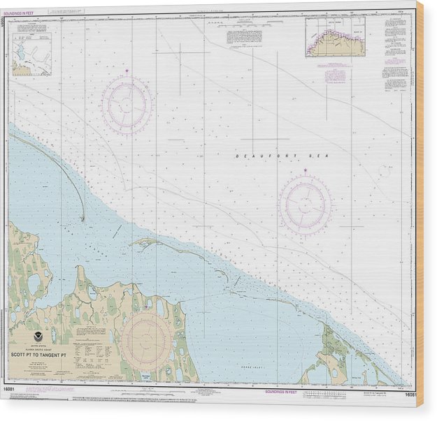 Nautical Chart-16081 Scott Pt-Tangent Pt Wood Print