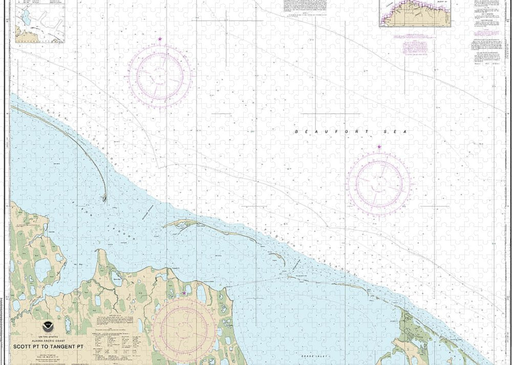 Nautical Chart-16081 Scott Pt-tangent Pt - Puzzle