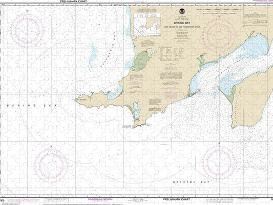 Nautical Chart 16305 Bristol Bay Cape Newenham Hagemeister Strait Puzzle