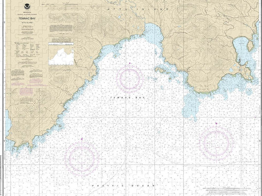 Nautical Chart 16431 Temnac Bay Puzzle