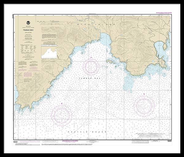 Nautical Chart-16431 Temnac Bay - Framed Print