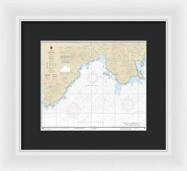 Nautical Chart-16431 Temnac Bay - Framed Print