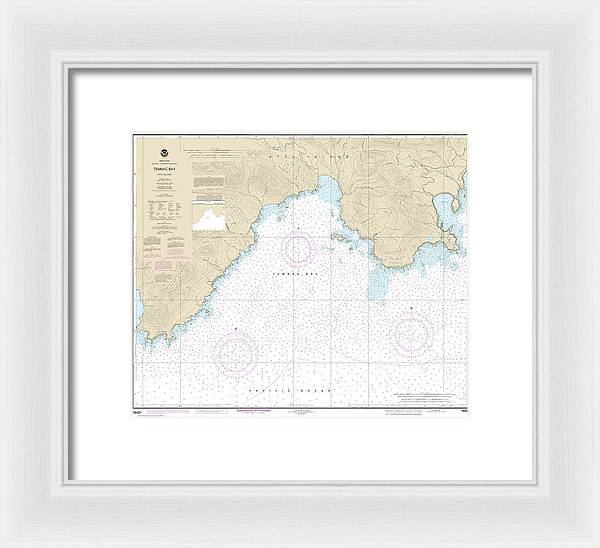 Nautical Chart-16431 Temnac Bay - Framed Print