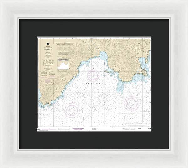 Nautical Chart-16431 Temnac Bay - Framed Print