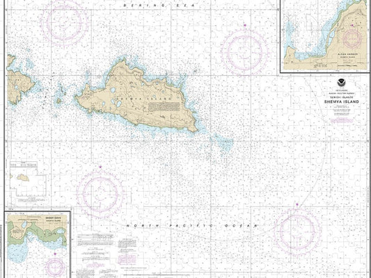 Nautical Chart 16436 Shemya Island, Alcan Harbor, Skoot Cove Puzzle