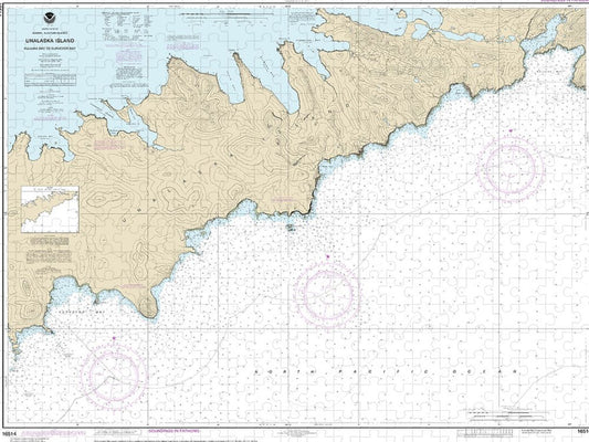 Nautical Chart 16514 Kulikak Bay Surveyor Bay Puzzle