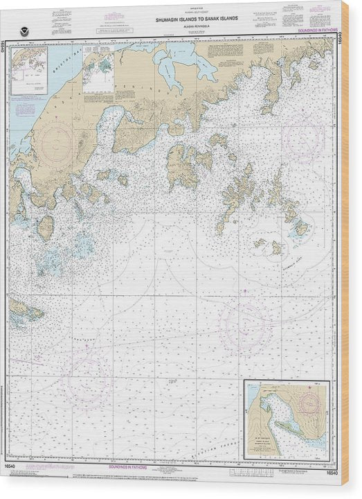 Nautical Chart-16540 Shumagin Islands-Sanak Islands, Mist Harbor Wood Print