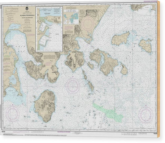 Nautical Chart-16549 Cold Bay-Approaches, Alaska Pen, King Cove Harbor Wood Print