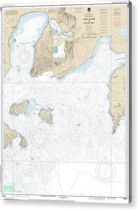 Nautical Chart-16551 Unga Island-Pavlof Bay, Alaska Pen  Acrylic Print