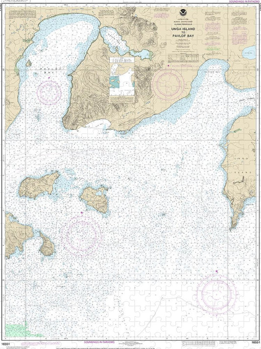 Nautical Chart 16551 Unga Island Pavlof Bay, Alaska Pen Puzzle