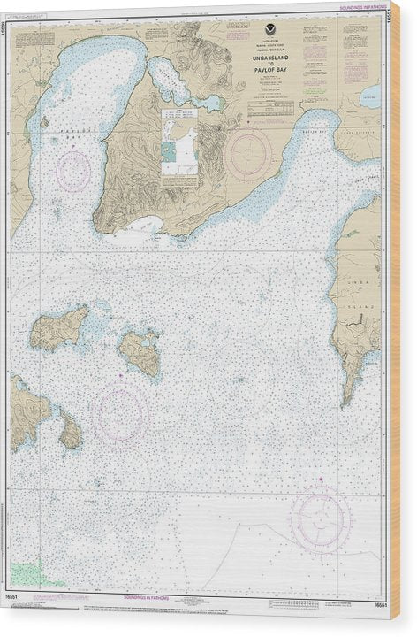 Nautical Chart-16551 Unga Island-Pavlof Bay, Alaska Pen Wood Print