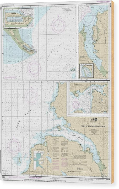 Nautical Chart-16646 Ports-Southeastern Cook Inlet Port Chatham, Port Graham, Seldovia Bay, Seldovia Harbor, Approaches-Homer Hbr, Homer Harbor Wood Print