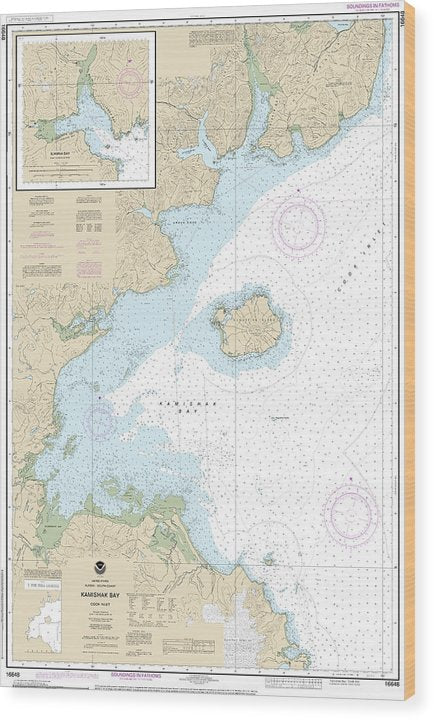 Nautical Chart-16648 Kamishak Bay, Lliamna Bay Wood Print