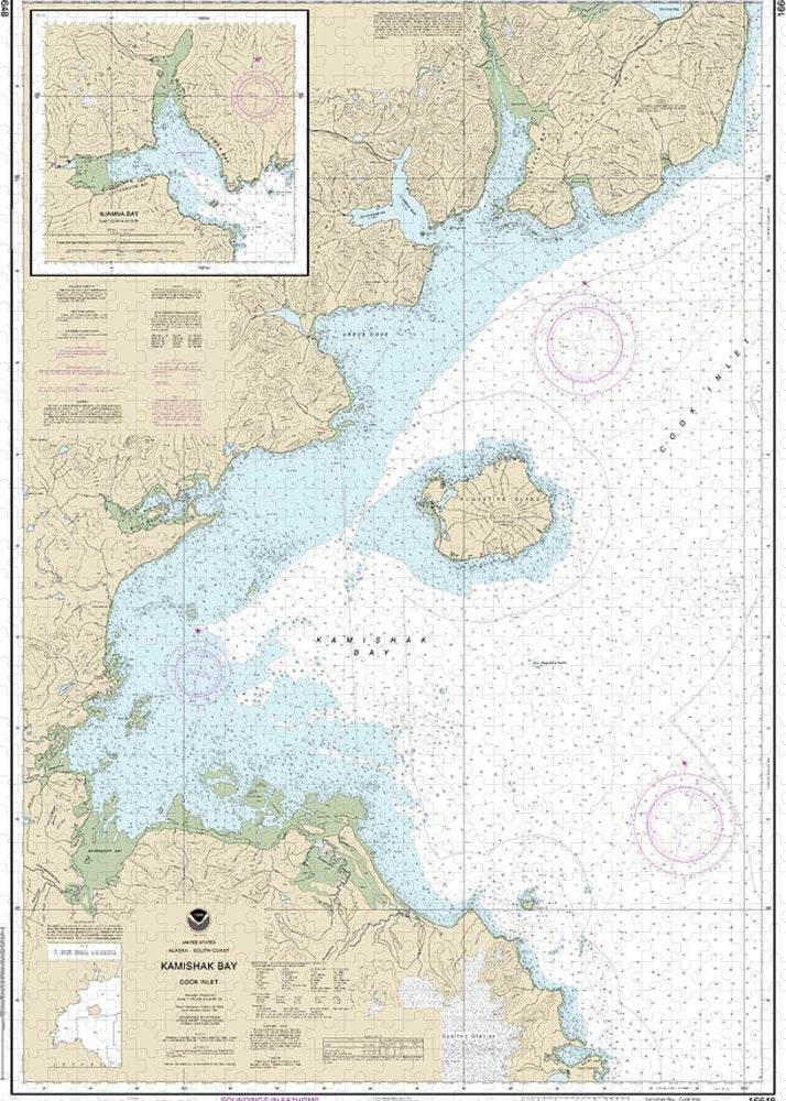 Nautical Chart-16648 Kamishak Bay, Lliamna Bay - Puzzle