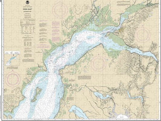 Nautical Chart 16660 Cook Inlet Northern Part Puzzle