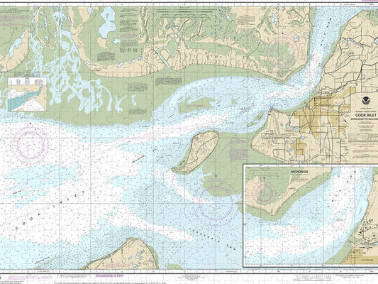 Nautical Chart 16665 Cook Inlet Approaches Anchorage, Anchorage Puzzle