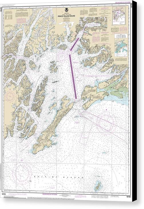 Nautical Chart-16700 Prince William Sound - Canvas Print