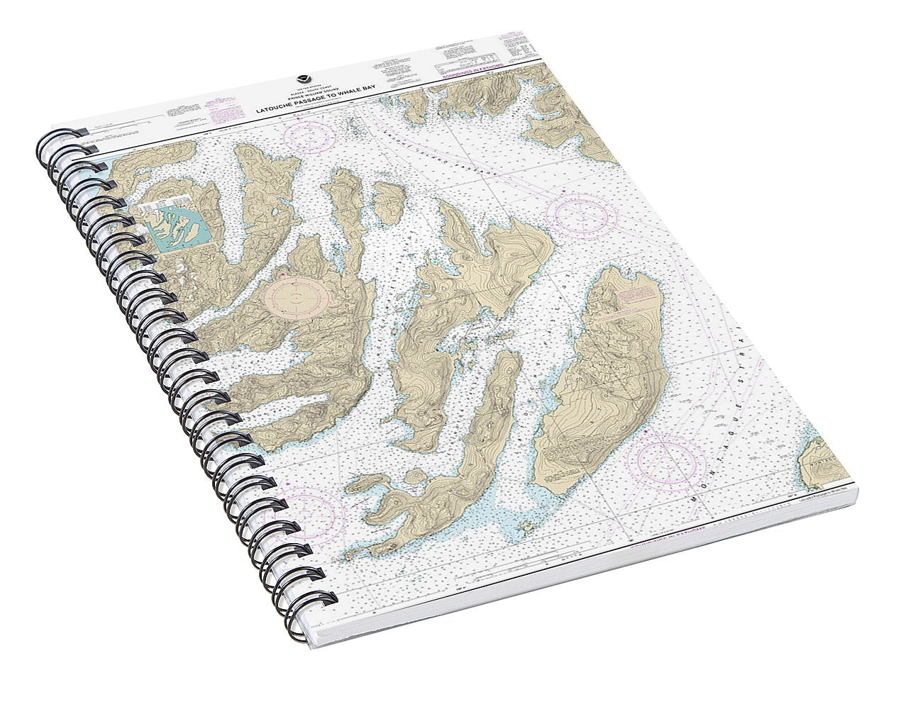 Nautical Chart-16702 Latouche Passage-whale Bay - Spiral Notebook