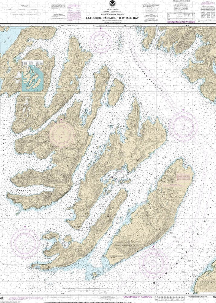 Nautical Chart-16702 Latouche Passage-whale Bay - Puzzle