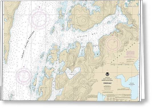 Nautical Chart-16704 Drier Bay, Prince William Sound - Greeting Card