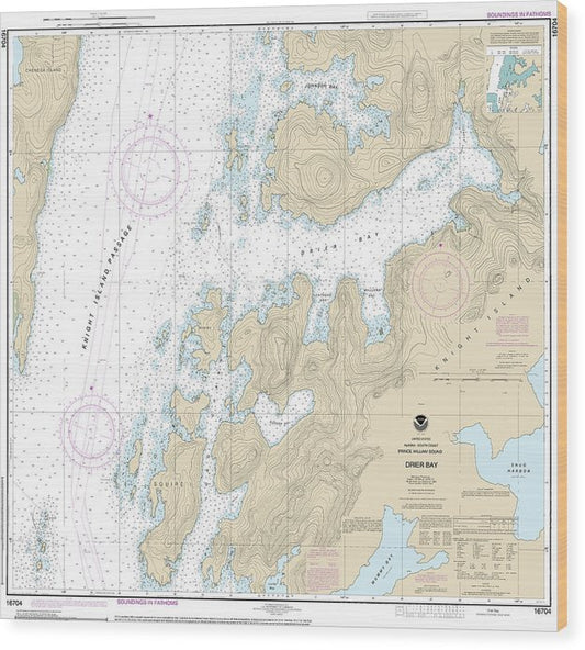 Nautical Chart-16704 Drier Bay, Prince William Sound Wood Print