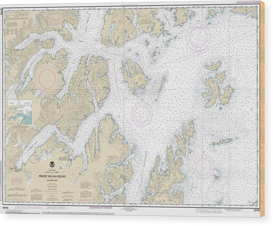 Nautical Chart-16705 Prince William Sound-Western Part Wood Print