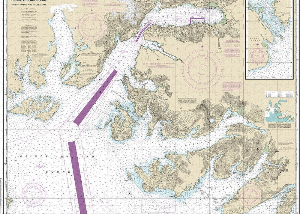 Nautical Chart-16708 Prince William Sound-port Fidalgo-valdez Arm, Tatitlek Narrows - Puzzle