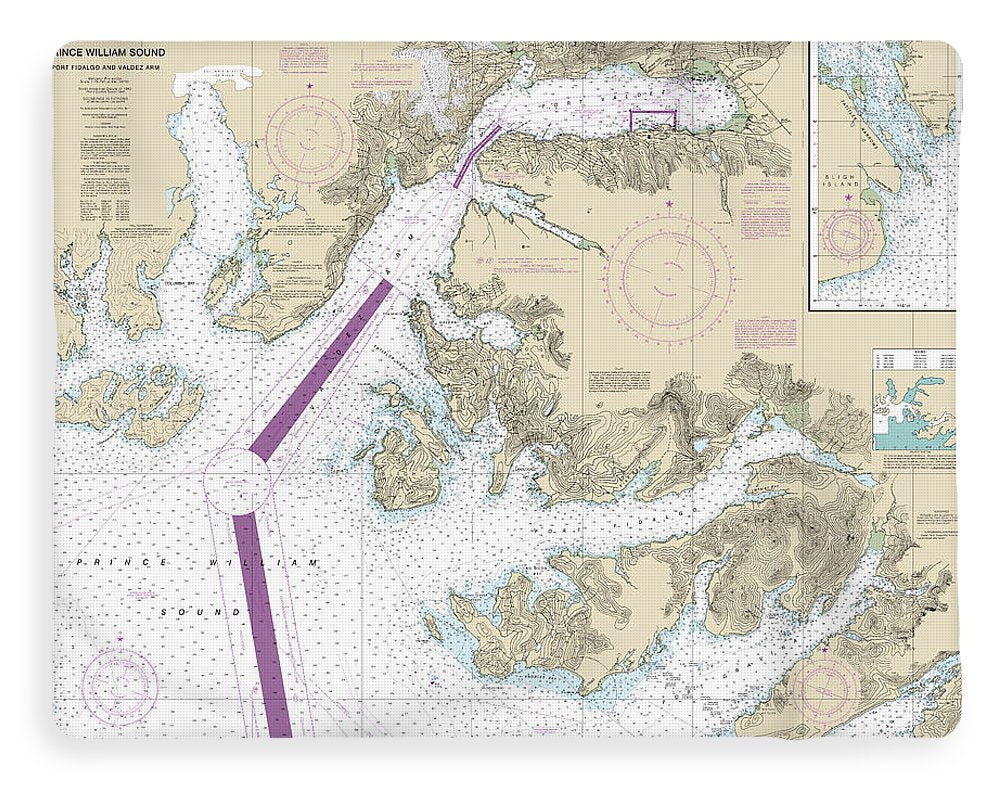 Nautical Chart-16708 Prince William Sound-port Fidalgo-valdez Arm, Tatitlek Narrows - Blanket