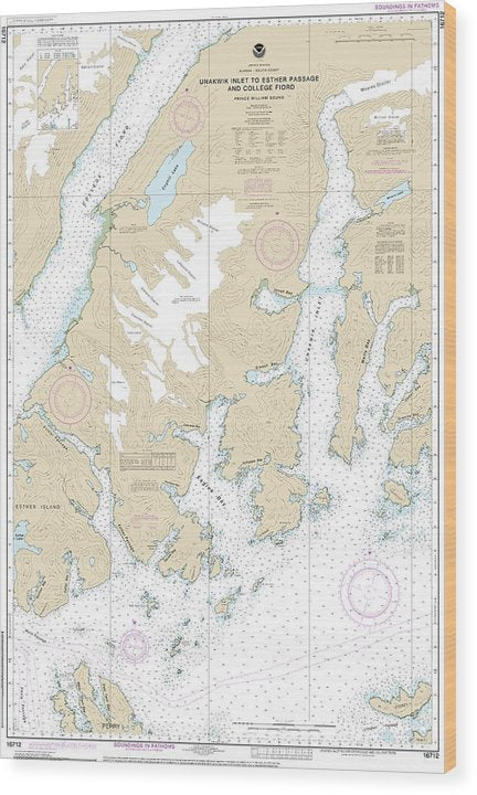 Nautical Chart-16712 Unakwik Inlet-Esther Passage-College Fiord Wood Print