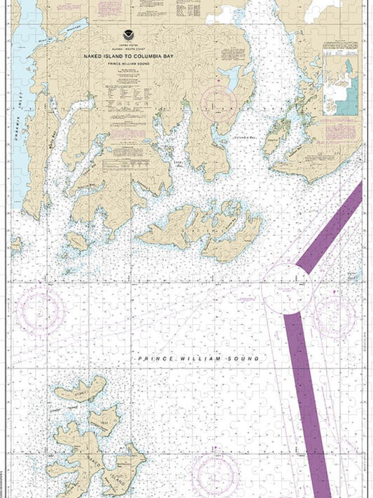 Nautical Chart 16713 Naked Island Columbia Bay Puzzle