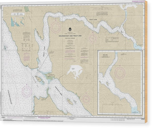 Nautical Chart-17311 Holkham Bay-Tracy Arm Stephens Passage Wood Print