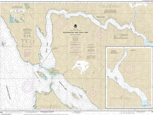 Nautical Chart 17311 Holkham Bay Tracy Arm Stephens Passage Puzzle
