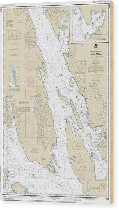 Nautical Chart-17316 Lynn Canal-Icy Str-Point Sherman, Funter Bay, Chatham Strait Wood Print