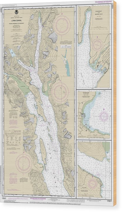 Nautical Chart-17317 Lynn Canal-Point Sherman-Skagway, Lutak Inlet, Skagway-Nahku Bay, Portage Cove, Chilkoot Inlet Wood Print