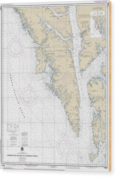 Nautical Chart-17320 Coronation Island-Lisianski Strait Wood Print