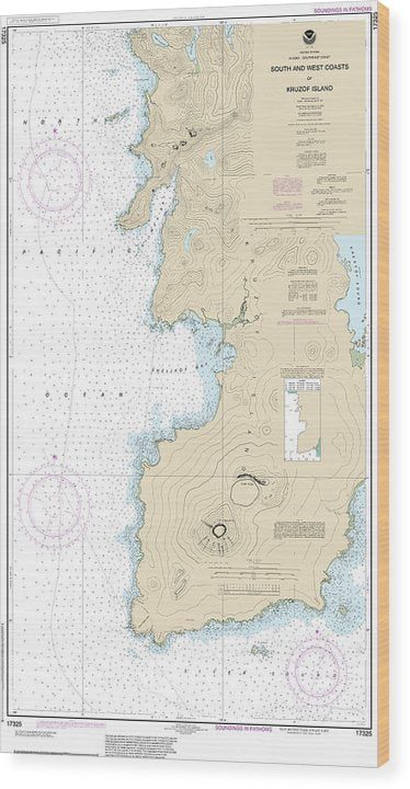 Nautical Chart-17325 South-West Coasts-Kruzof Island Wood Print