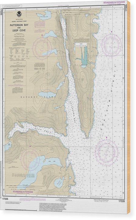 Nautical Chart-17335 Patterson Bay-Deep Cove Wood Print