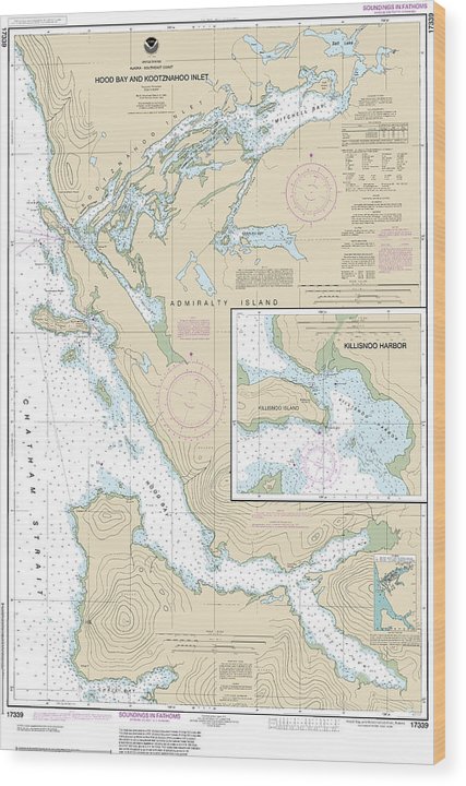 Nautical Chart-17339 Hood Bay-Kootznahoo Inlet Wood Print