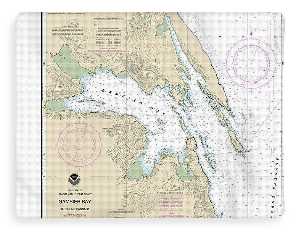 Nautical Chart-17362 Gambier Bay, Stephens Passage - Blanket