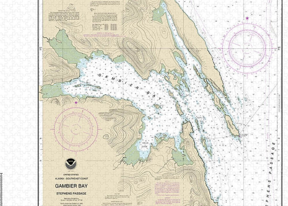 Nautical Chart-17362 Gambier Bay, Stephens Passage - Puzzle