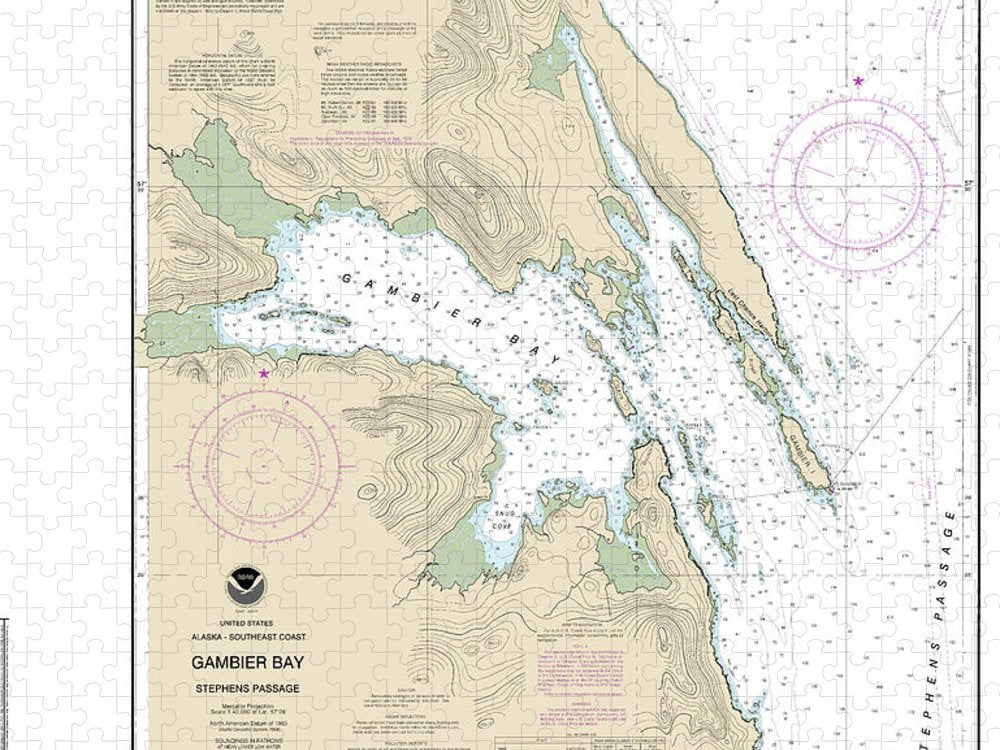 Nautical Chart 17362 Gambier Bay, Stephens Passage Puzzle